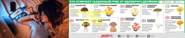 амф Беломорск