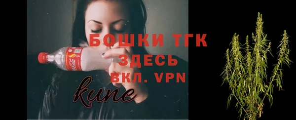 прущие грибы Богданович