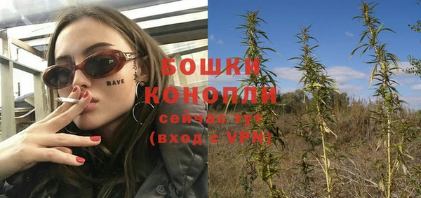 мяу мяу мука Покачи