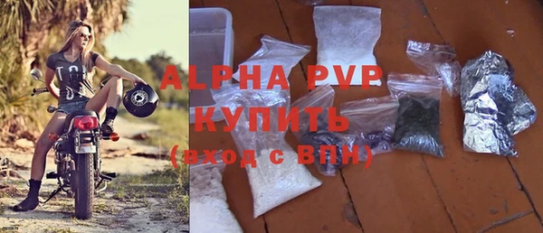 прущие грибы Богданович